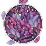 Photo of 50 wild berry colored bi-cone beads that are available to purchase. The mix has a variety of purple and grape and pinkish/purple colors in it.